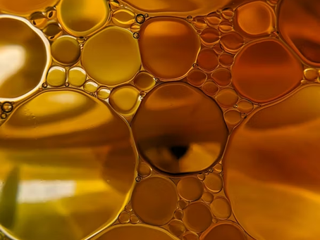 Grapeseed Oil Is a Potent Anti-Aging Ingredient—Here’s Why Experts Recommend It