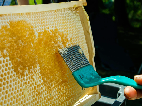 The Rising Popularity of Synthetic Beeswax in Skincare