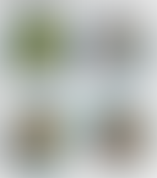 A New Paper about UAV Mapping of Island Vegetation! 