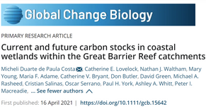 Current and Future Carbon Stocks in Coastal Wetlands Within the Great Barrier Reef Catchmentst