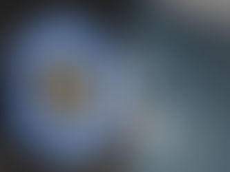 Auto Scoring Systems