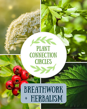 Ishka Instagram Posts.png