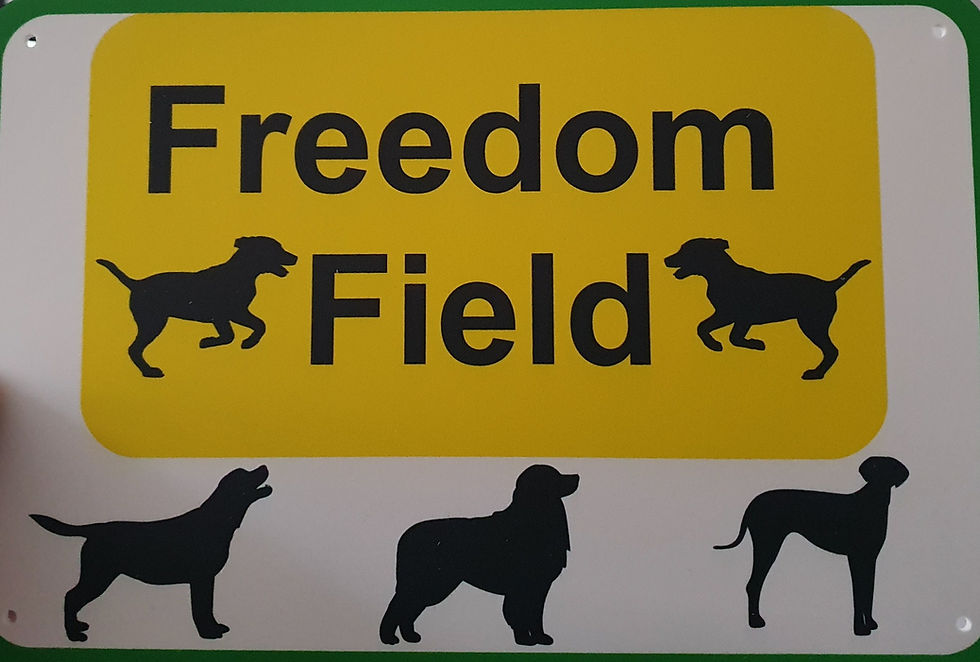 Freedom Field Signage
