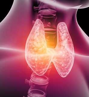 thyroid.jpeg
