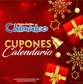 CUPONES CALENDARIO REGALO NAVIDAD.png
