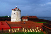 North Goa Sightseeing Full-Day Tour