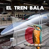 pajaro.jpg