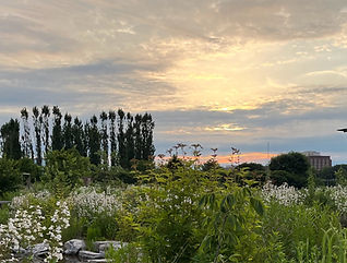 Sunrise at the Arboretum.jpg