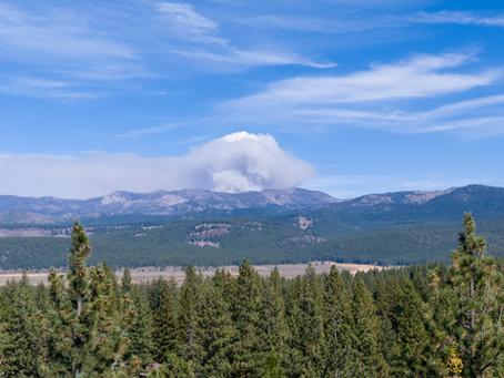 The Importance of Defensible Space in Wildfire Prevention: Lessons from the Davis Fire