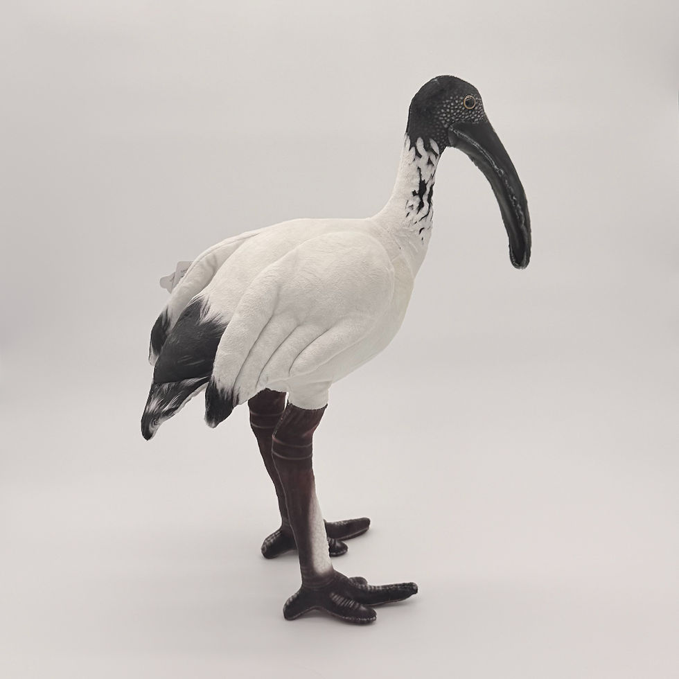 Back view Huggable Toys 45cm Ibis plush toy with soft white body and wings, black head and long curved beak, legs and feet.