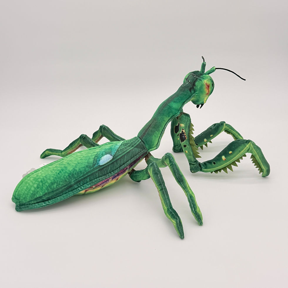 Back view Huggable Toys 40cm Praying Mantis plush toy with soft two tone green fabric, six legs, large eyes, black antennae