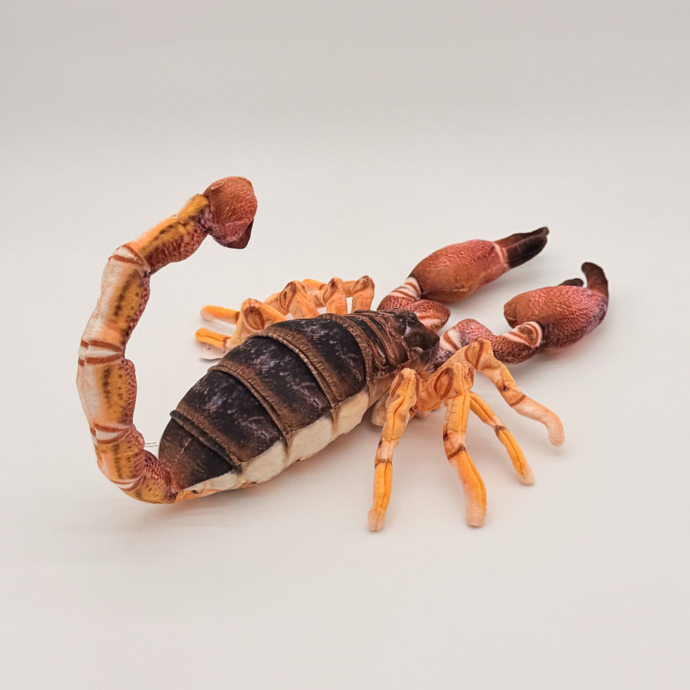 Back view Huggable Toys 38cm Scorpion plush toy with soft orange brown fabric, stinger tipped tail and large front pincers.
