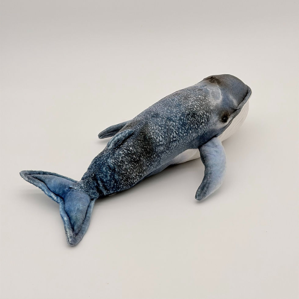 Back view Huggable Toys 32cm Blue Whale plush toy with soft blue mottled velour fabric, tail and fins, white rippled belly 