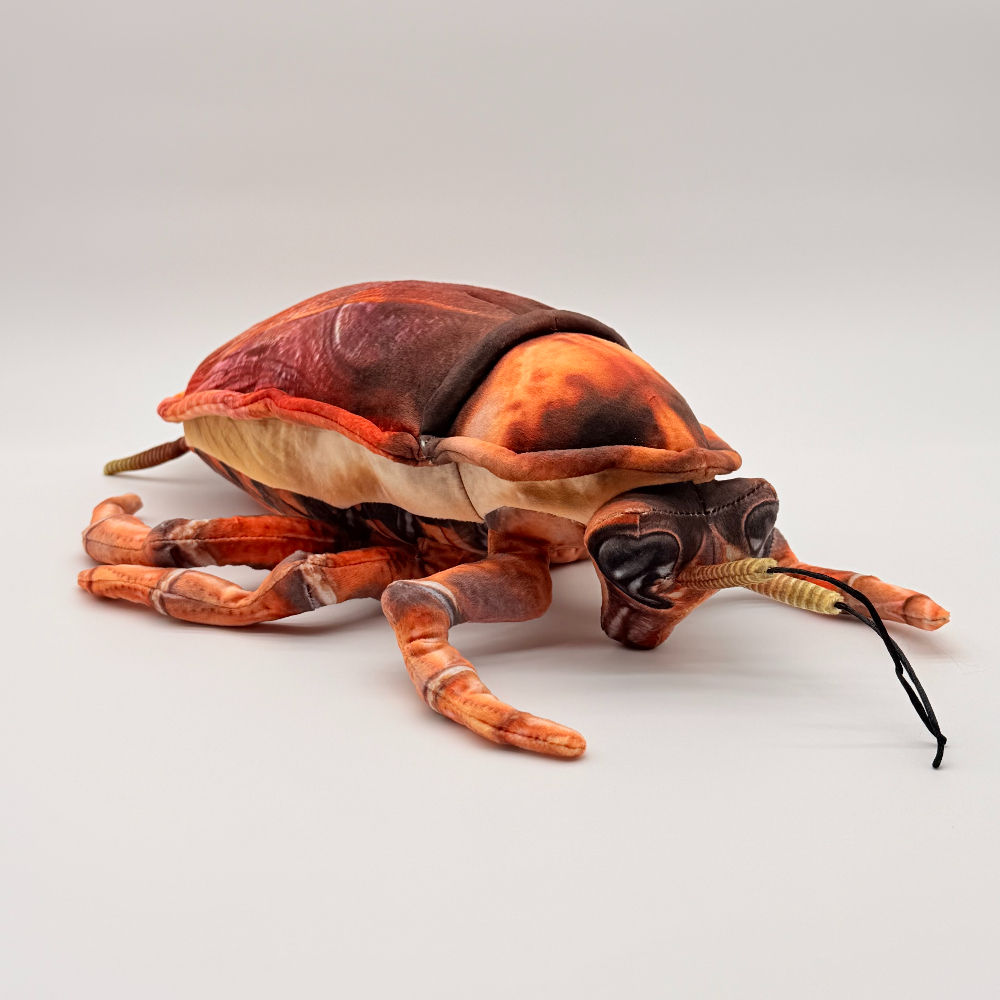 Front view Huggable Toys Carlisle Cockroach with soft velvety fabric, detailed orange brown body and legs and long antennae