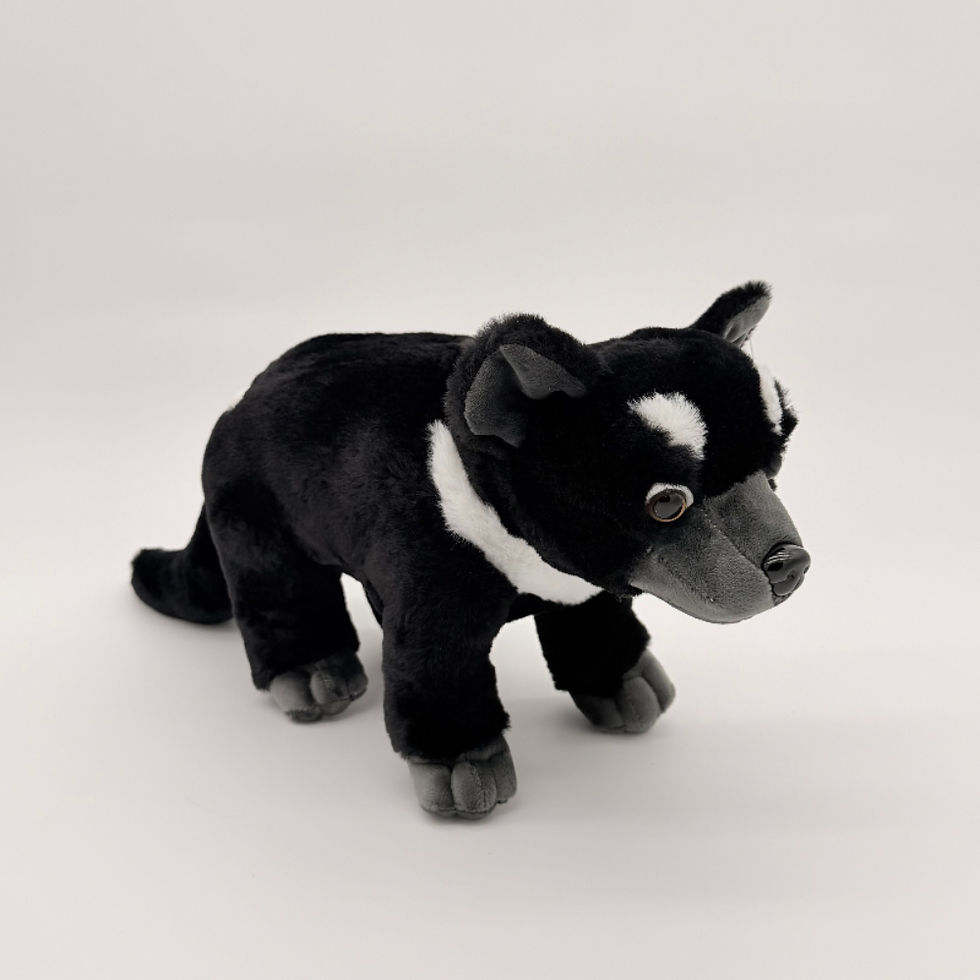 Front view Huggable Toys 30cm Tassie Devil plush toy with soft black fur , gray muzzle and feet and white on face and neck
