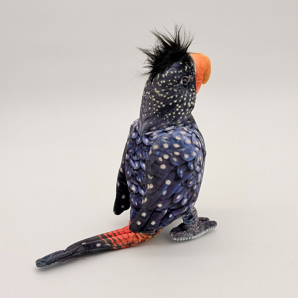 Back view Huggable Toys 24cm Cockatoo plush toy with soft dark blue, white dots fabric, black fluffy crest, orange beak