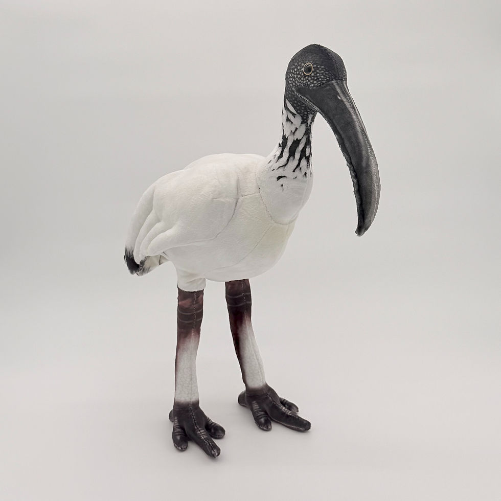 Front view Huggable Toys 45cm Ibis plush toy with soft white body and wings, black head and long curved beak, legs and feet.