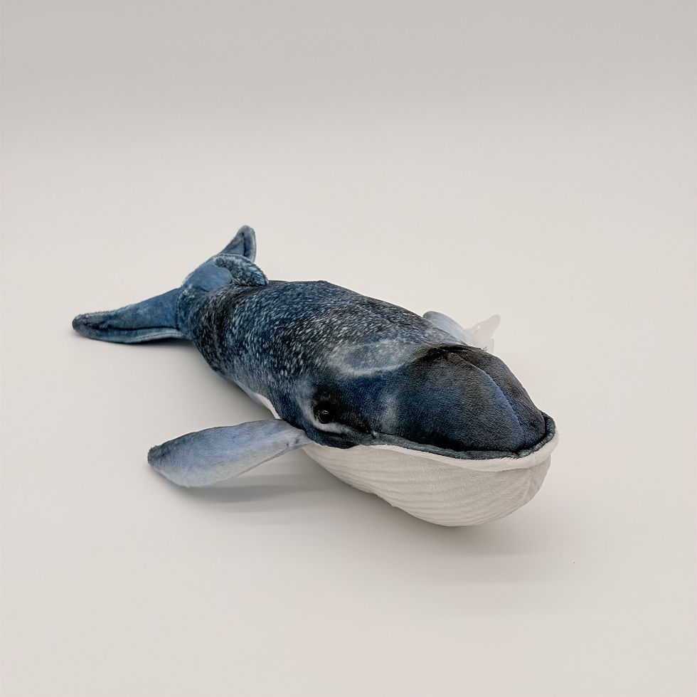 Front view Huggable Toys 32cm Blue Whale plush toy with soft blue mottled velour fabric, tail and fins, white rippled belly