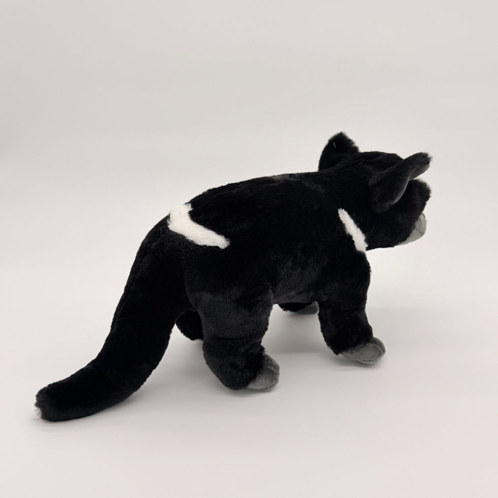 Back view Huggable Toys 30cm Tassie Devil plush toy with soft black fur , gray muzzle and feet and white on face and neck