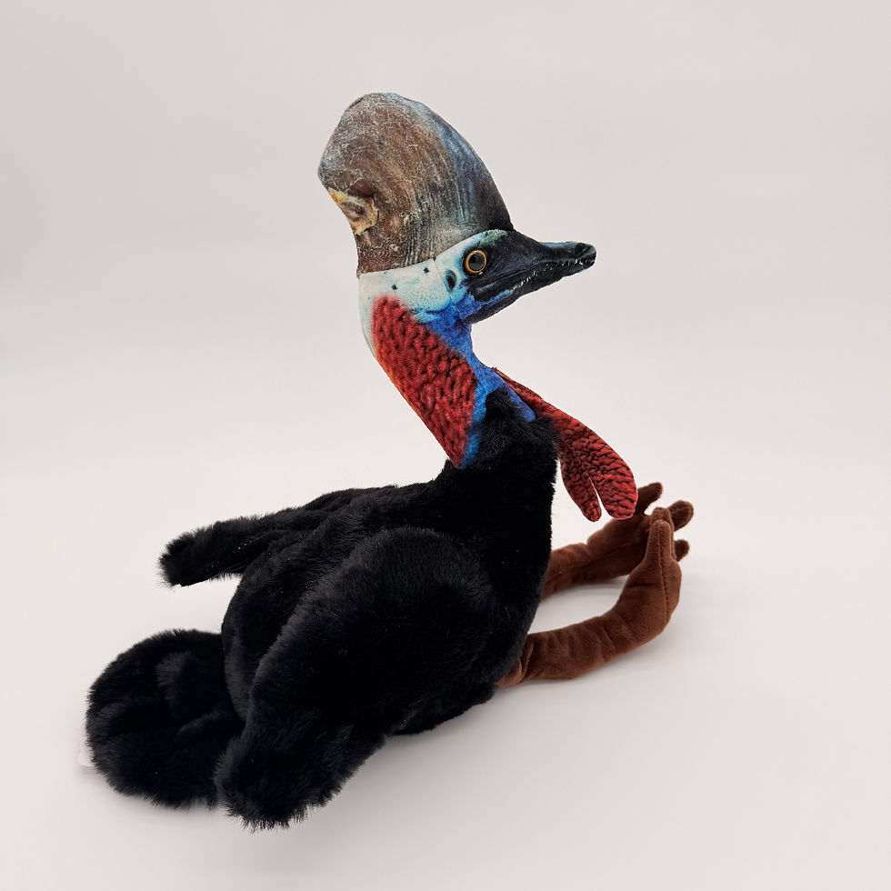 Back view Huggable Toys 30cm Cassowary plush toy with soft black body, red breast, blue neck, mottled crest and beak.
