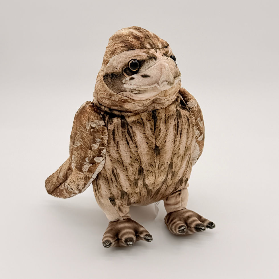 Front view Huggable Toys 26cm Frogmouth Owl plush toy with soft mottled brown and white fabric and large black eyes