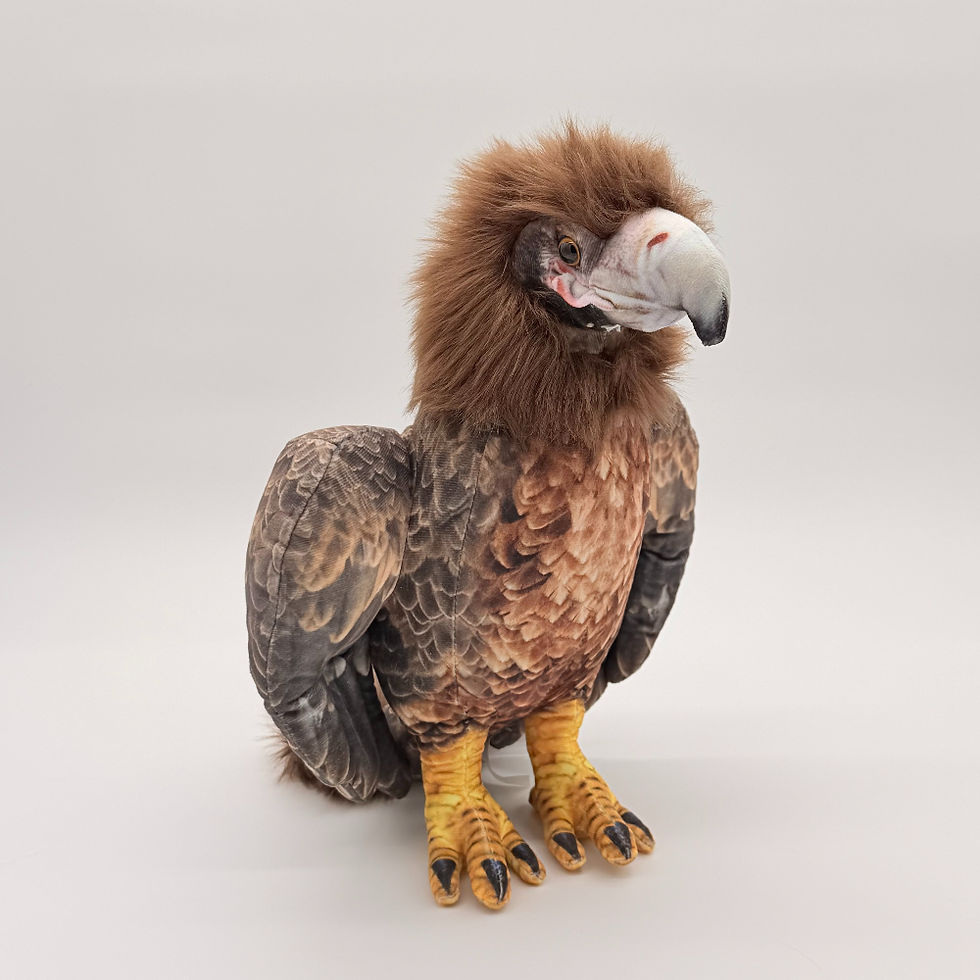 Front view Huggable Toys 34cm Wedge Tail Eagle plush toy with soft brown fabric, hooked beak, and a wedge-shaped tail