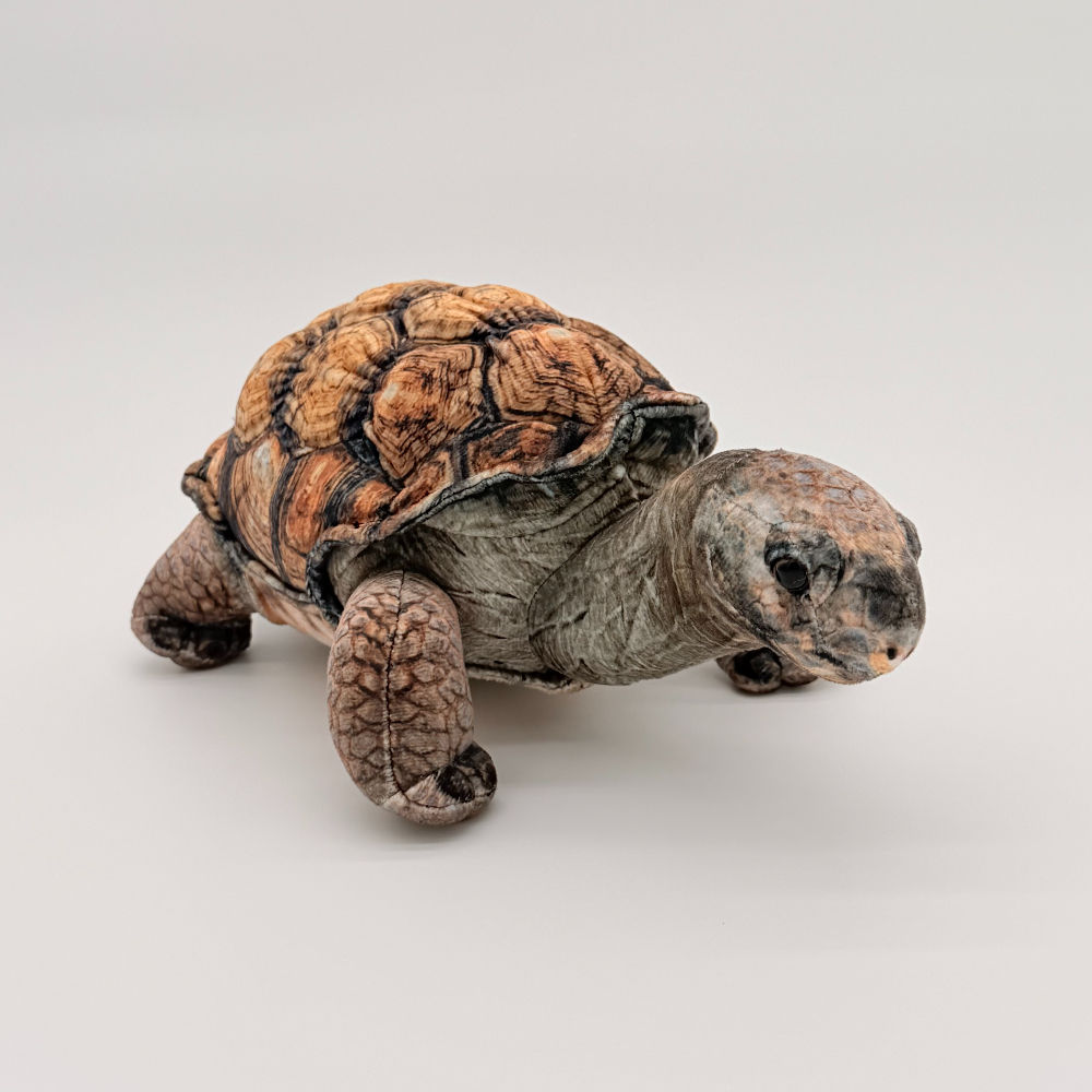 Front view Huggable Toys 25cm Tortoise plush toy with soft two tone brown shell, mottled body, legs and head with big eyes