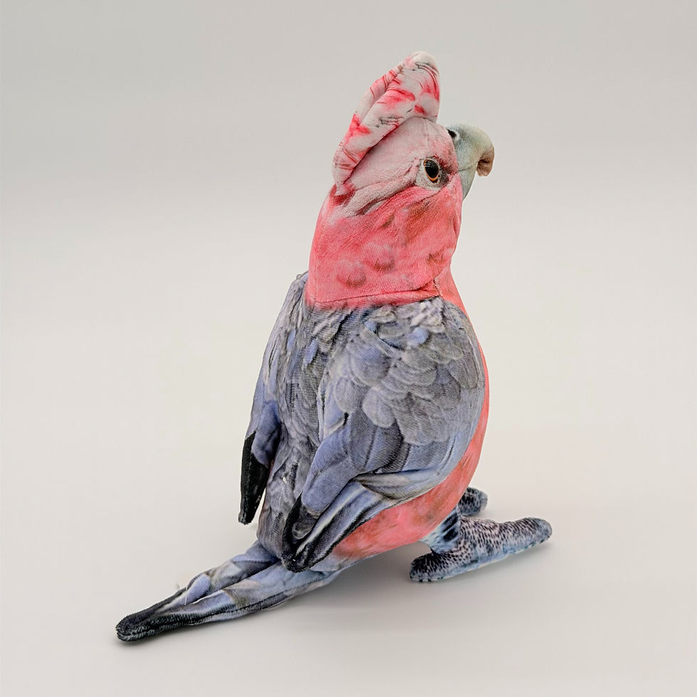 Back view Huggable Toys 23cm Galah plush toy with soft pink and gray fabric, large beak and mottled crest.