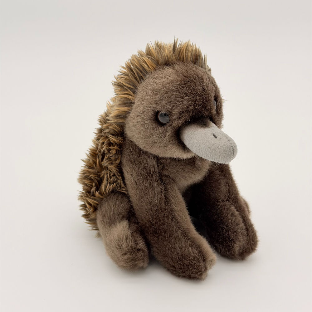 Front view Dinki Di 15cm Echidna plush toy with brown body, soft spiky back and long gray nose