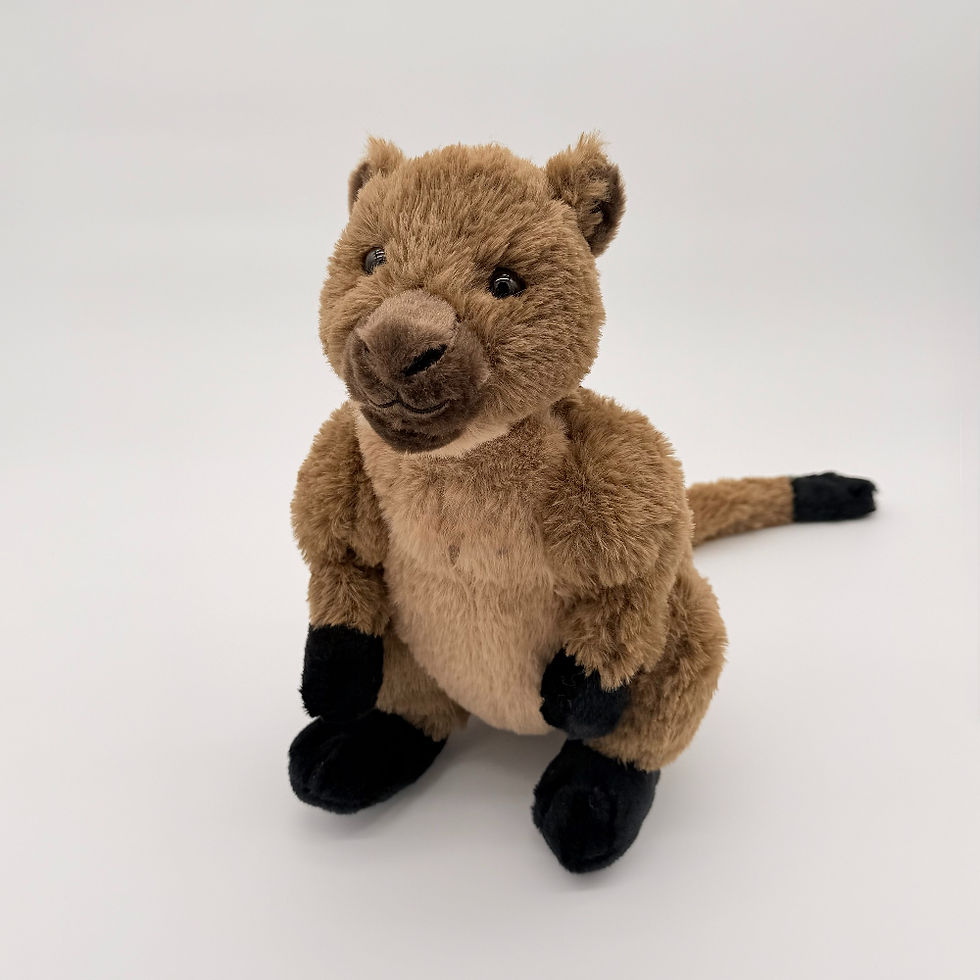Front view Huggable Toys 30cm Tree Kangaroo plush toy with soft brown fur, lighter belly and dark nose and paws