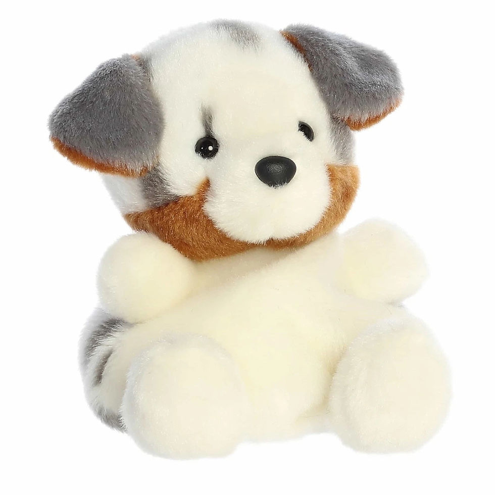 Front view Palm Pals 13cm Sydney Aussie shepherd plush toy. Features white body, gray spots and ears, brown neck