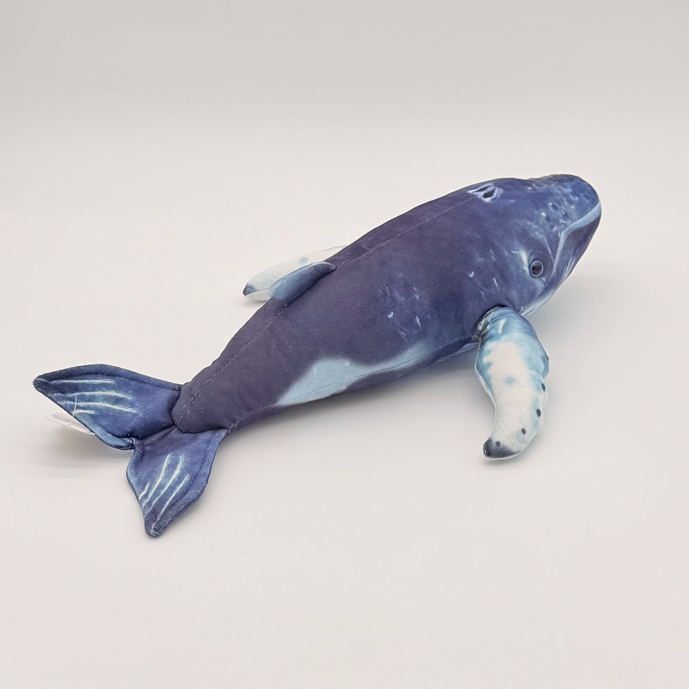 Back view Huggable Toys 40cm Humpback Whale plush toy with blue and white soft velvety fabric and long pectoral fins