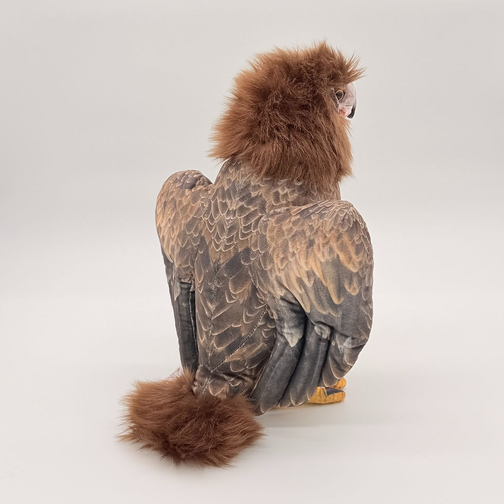 Back view Huggable Toys 34cm Wedge Tail Eagle plush toy with soft brown fabric, hooked beak, and a wedge-shaped tail