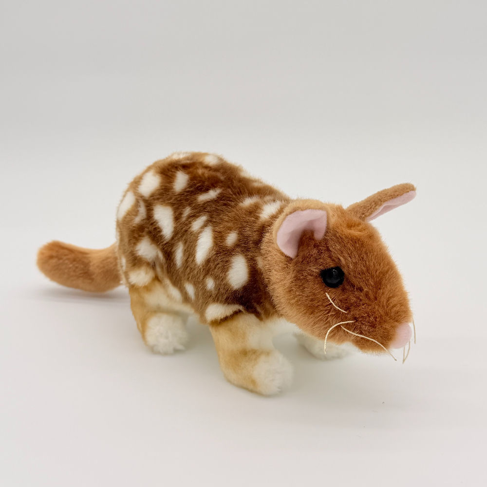 Front view Dinki Di Quoll plush toy with soft brown fur, white spots, pink inner ears and long tail