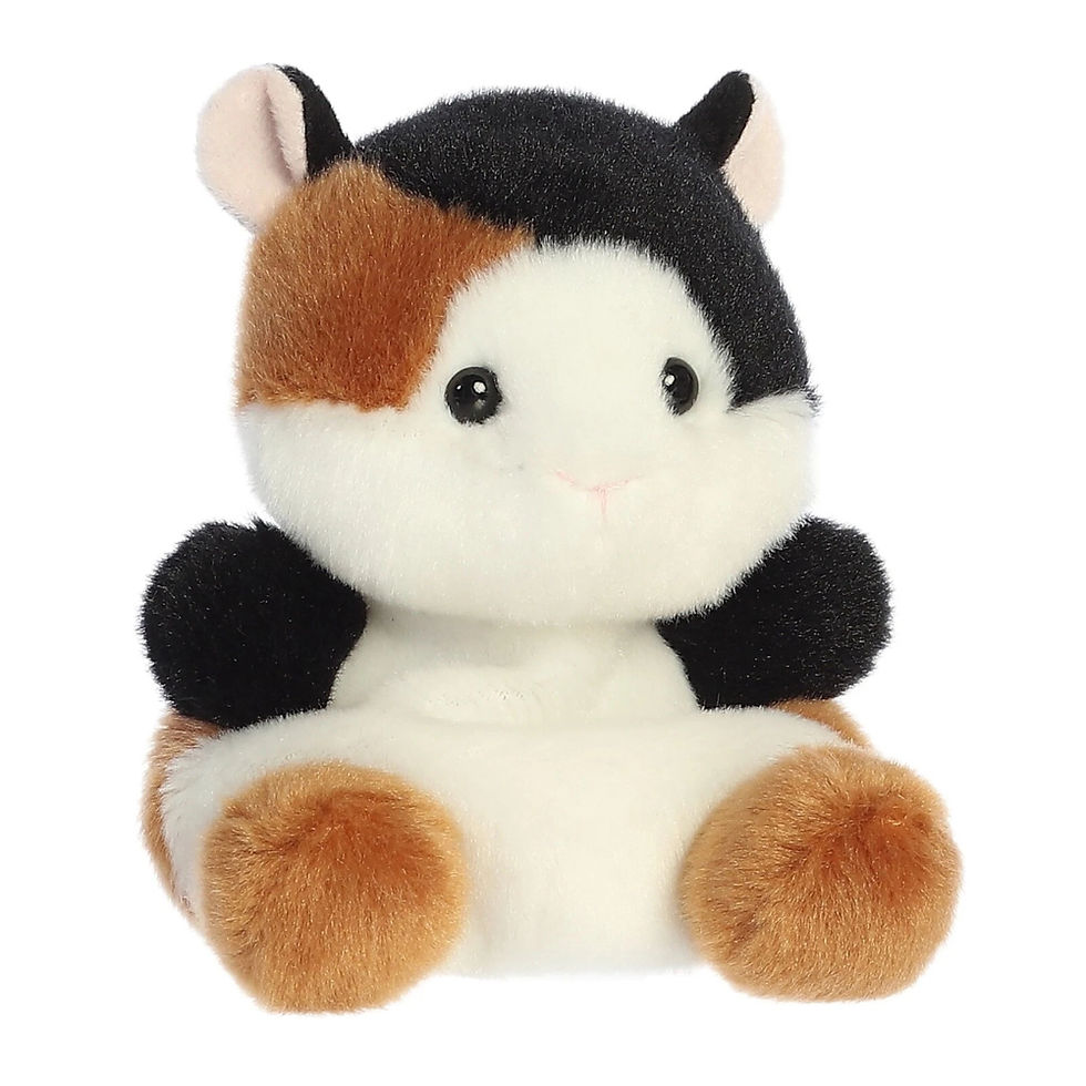 Front view Palm Pals 13cm Nutmeg the Guinea Pig plush toy. Feature black, brown & white soft fur, cute round ears, black eyes