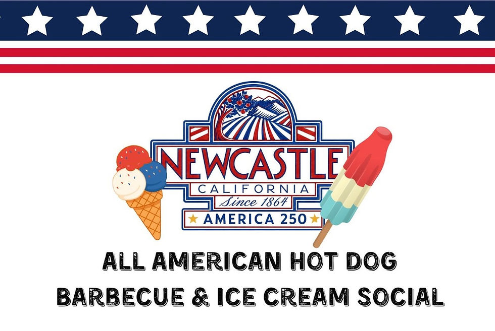 All-American Hot Dog Barbecue & Ice Cream Social