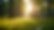 Eye-level view of a peaceful nature scene with soft sunlight filtering through trees