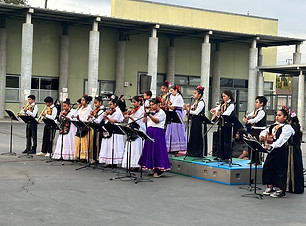 IMG_3137.jpg