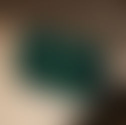 What is the Green Box used for in Hong Kong companies?