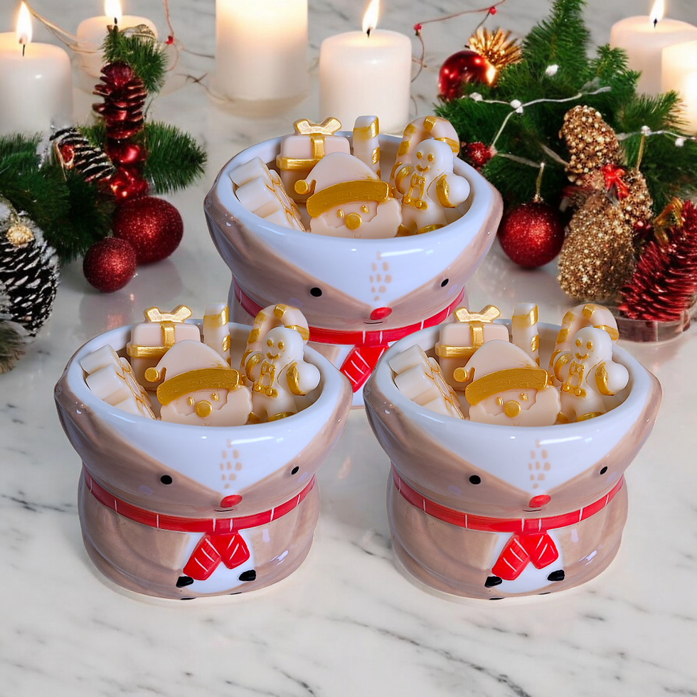 Festive Soy Candle with Christmas Melts