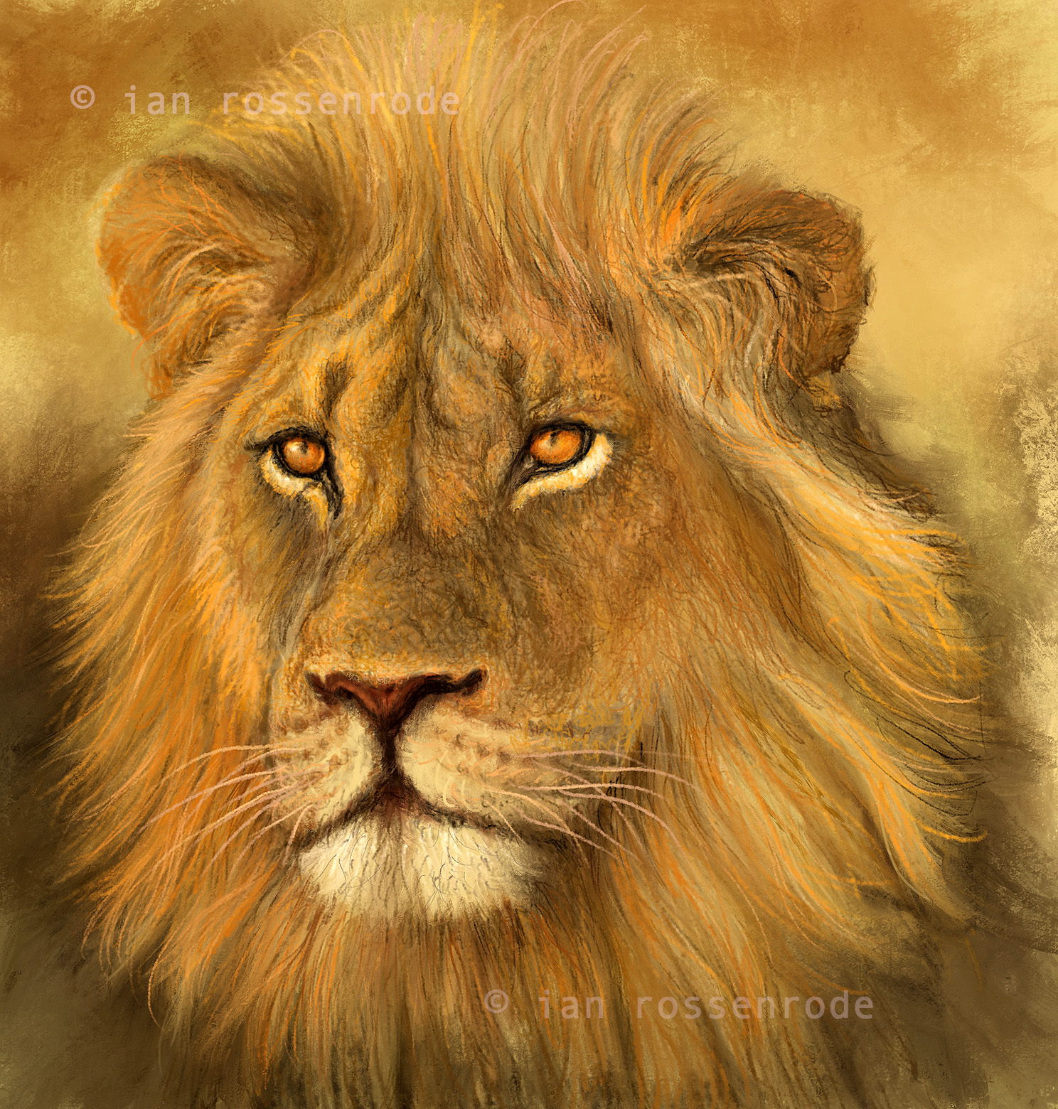 iPad Lion illustration