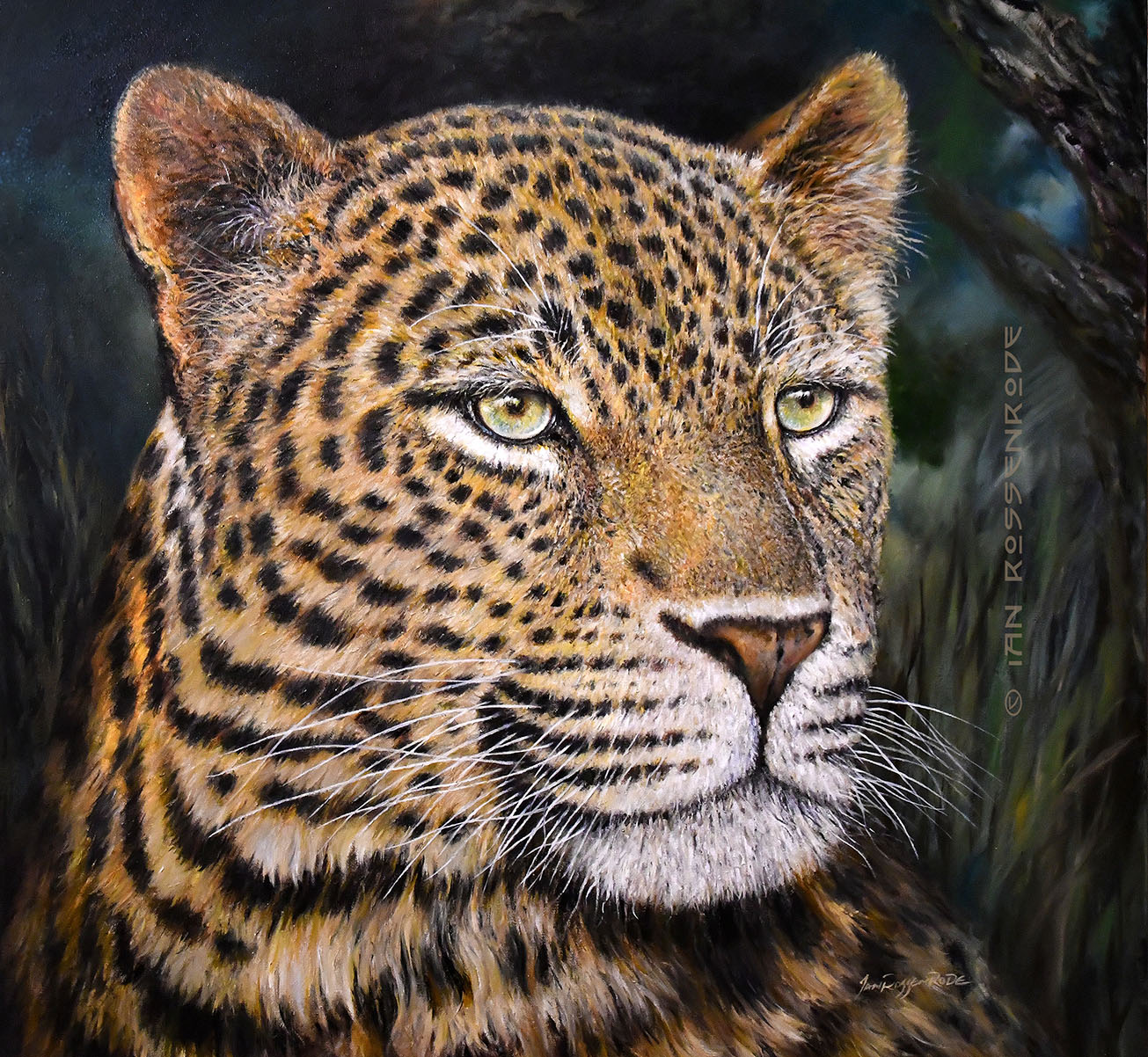 Leopard Head