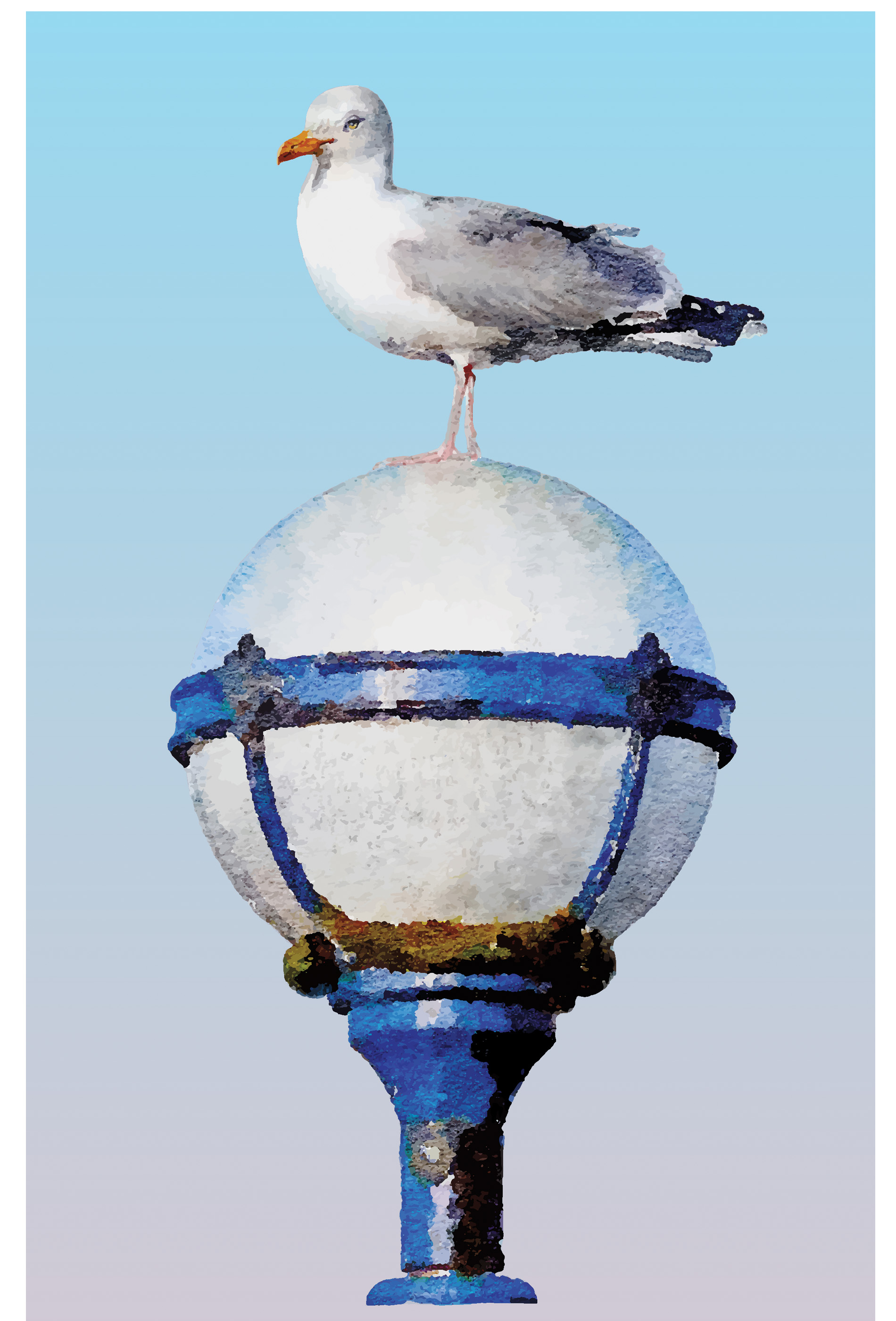 Gull - vector illustration
