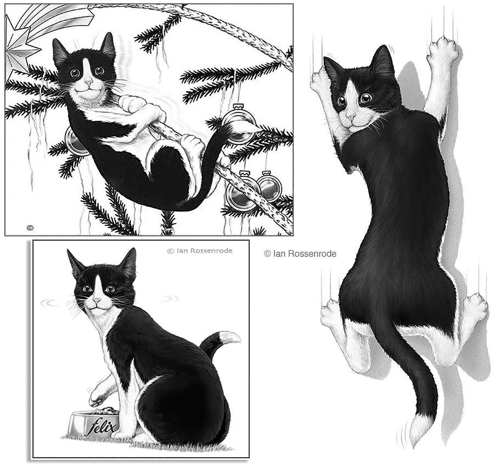Felix cat food