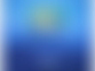 CERO RESIDUOS/ ZERO WASTE