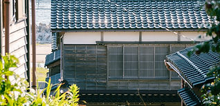 DSC09274.jpg