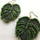 Miniatura: Maxi Aros Monstera