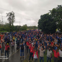 Siticcan consegue reajuste de 13% no salário e 12,47% na cesta básica para o trabalhador