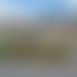 Ex-prefeito denuncia descaso em escola e sujeira no monumento que homenageia Carmem Gandarela