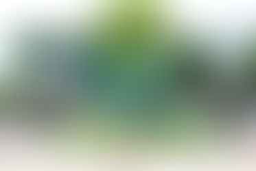 Exclusivo: IBGE vai expor dados do Censo em reunião de portas fechadas na Câmara nesta sexta-feira